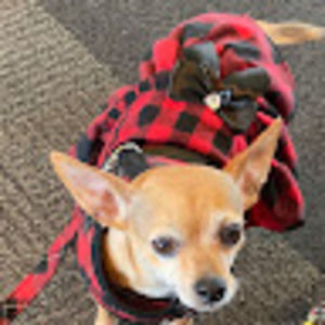 Meet your Posher, Angie